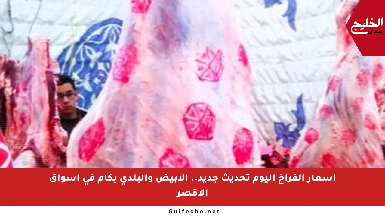 أسعار الفراخ اليوم تحديث جديد.. الأبيض والبلدي بكام في أسواق الأقصر